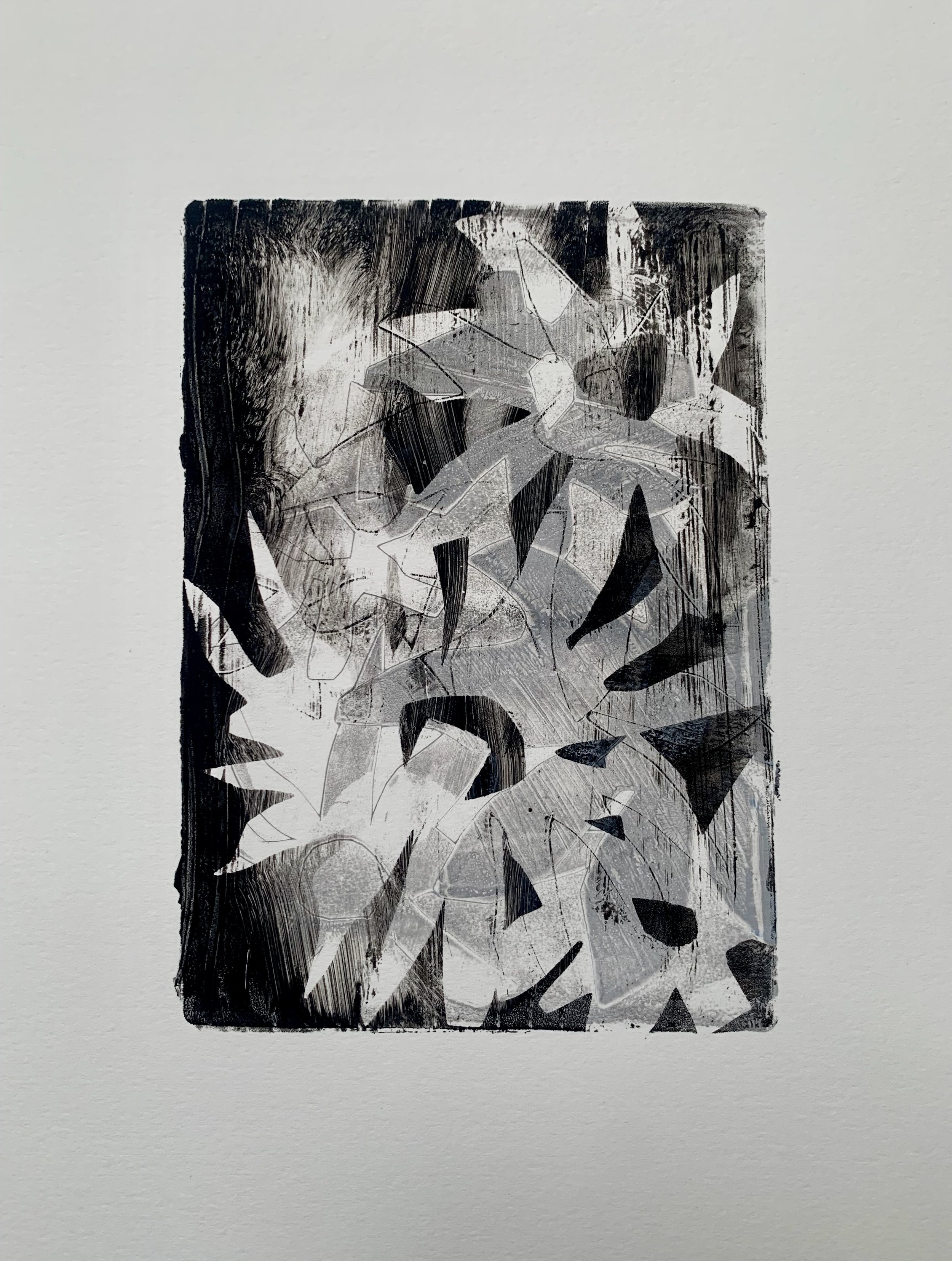 Flowers Mono (2025) A4 8