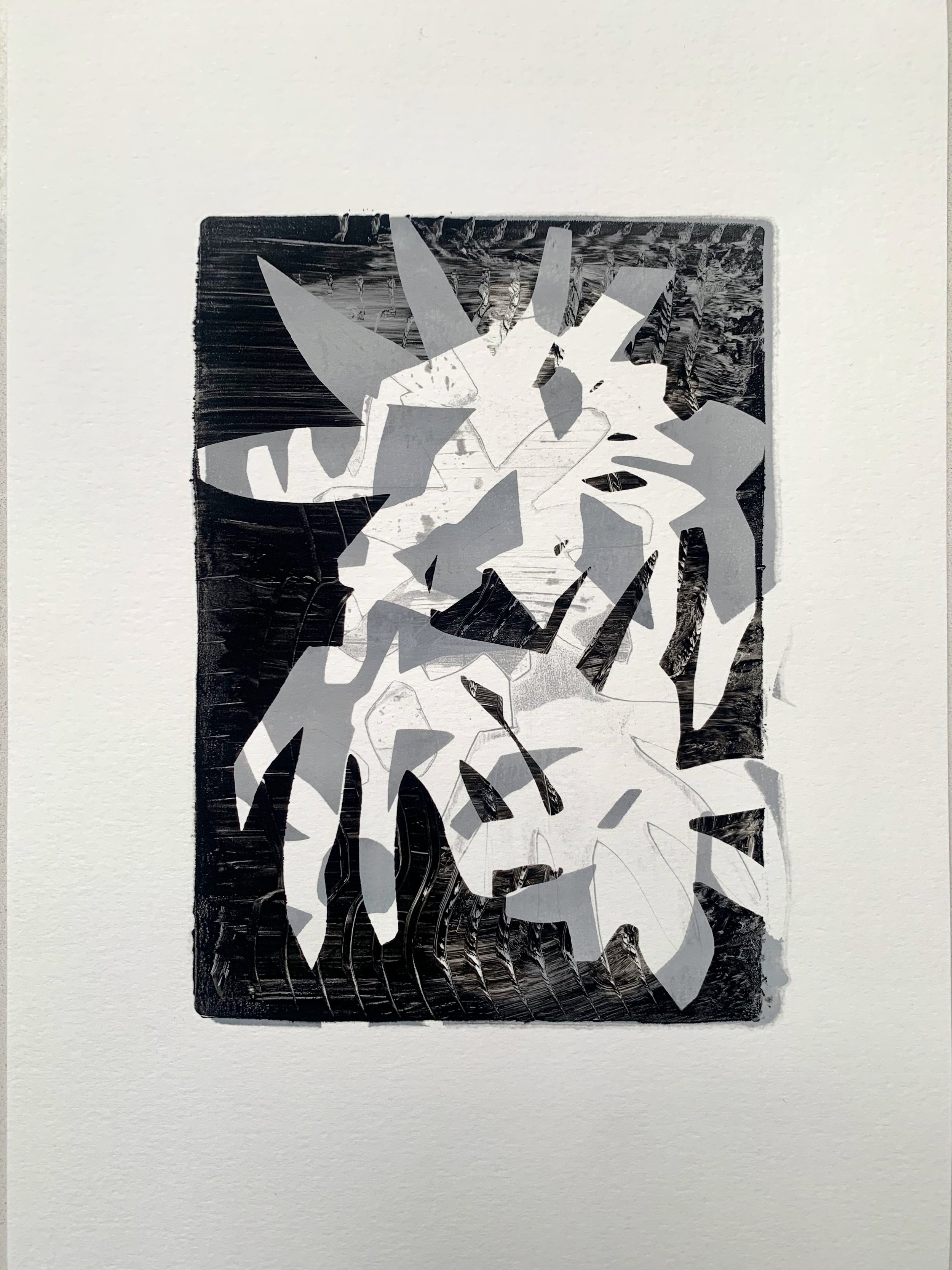 Flowers Mono (2025) A4 2