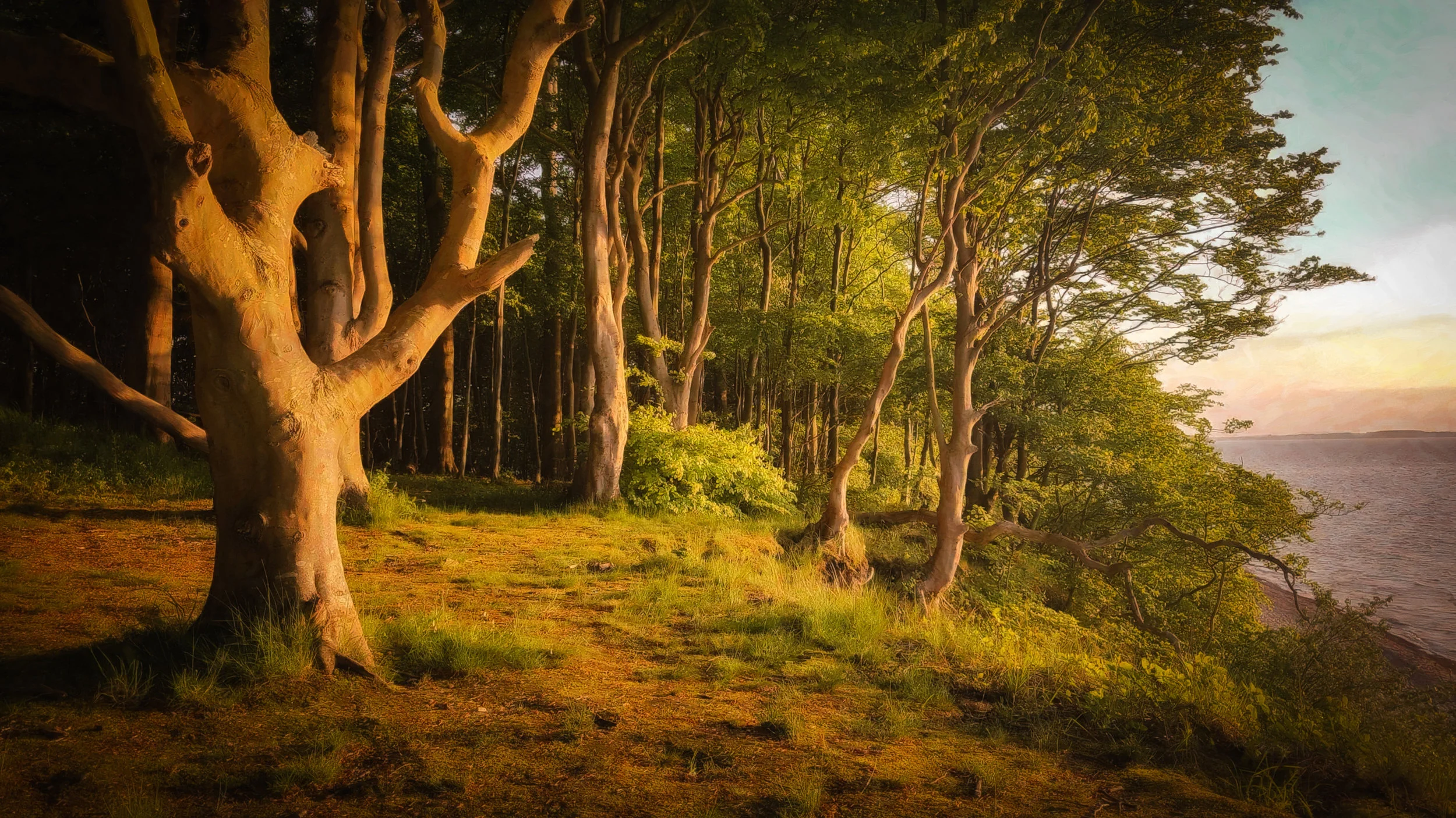 brooker wald-12.jpg
