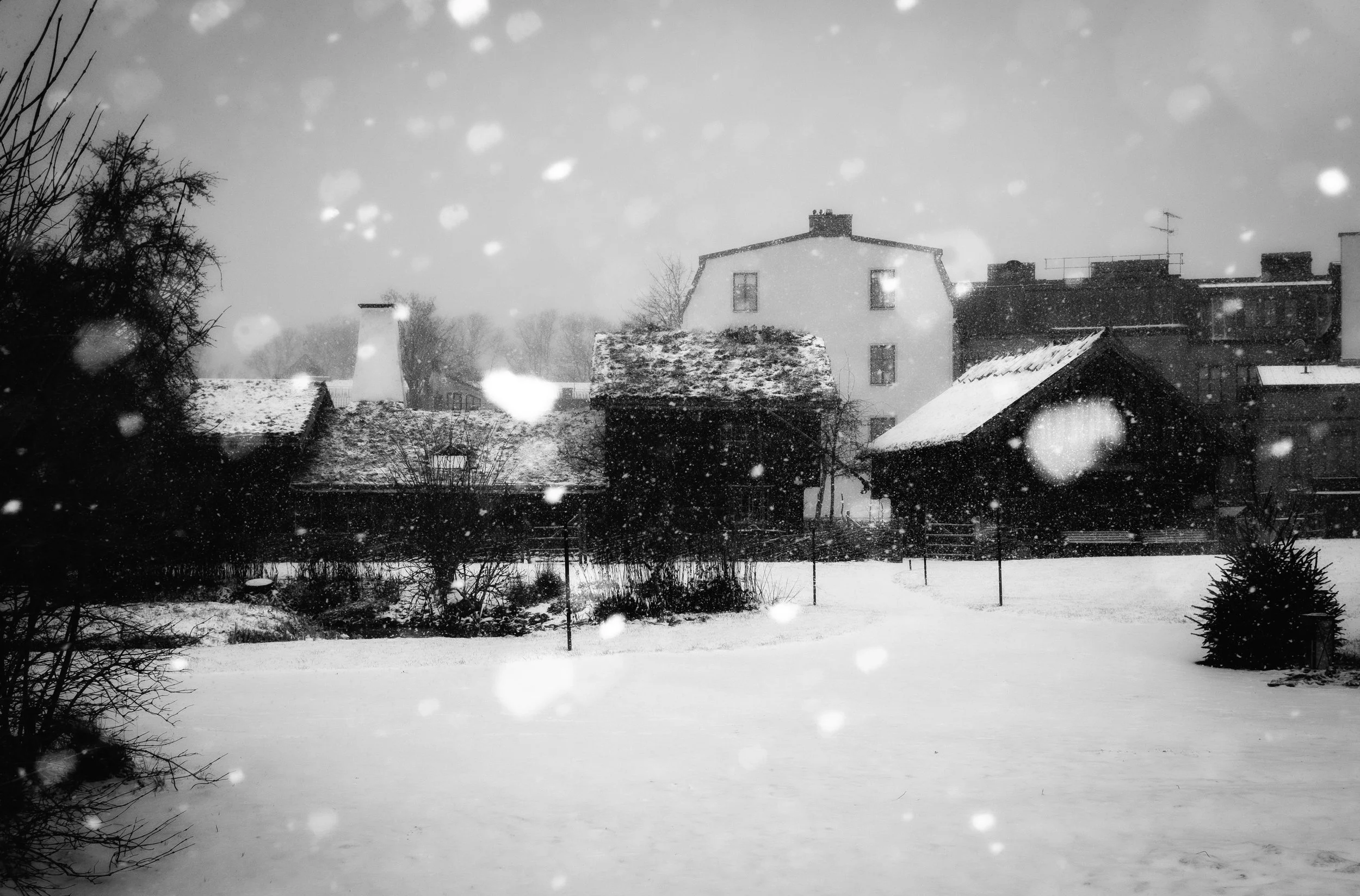 DSCF8343-Edit.jpg