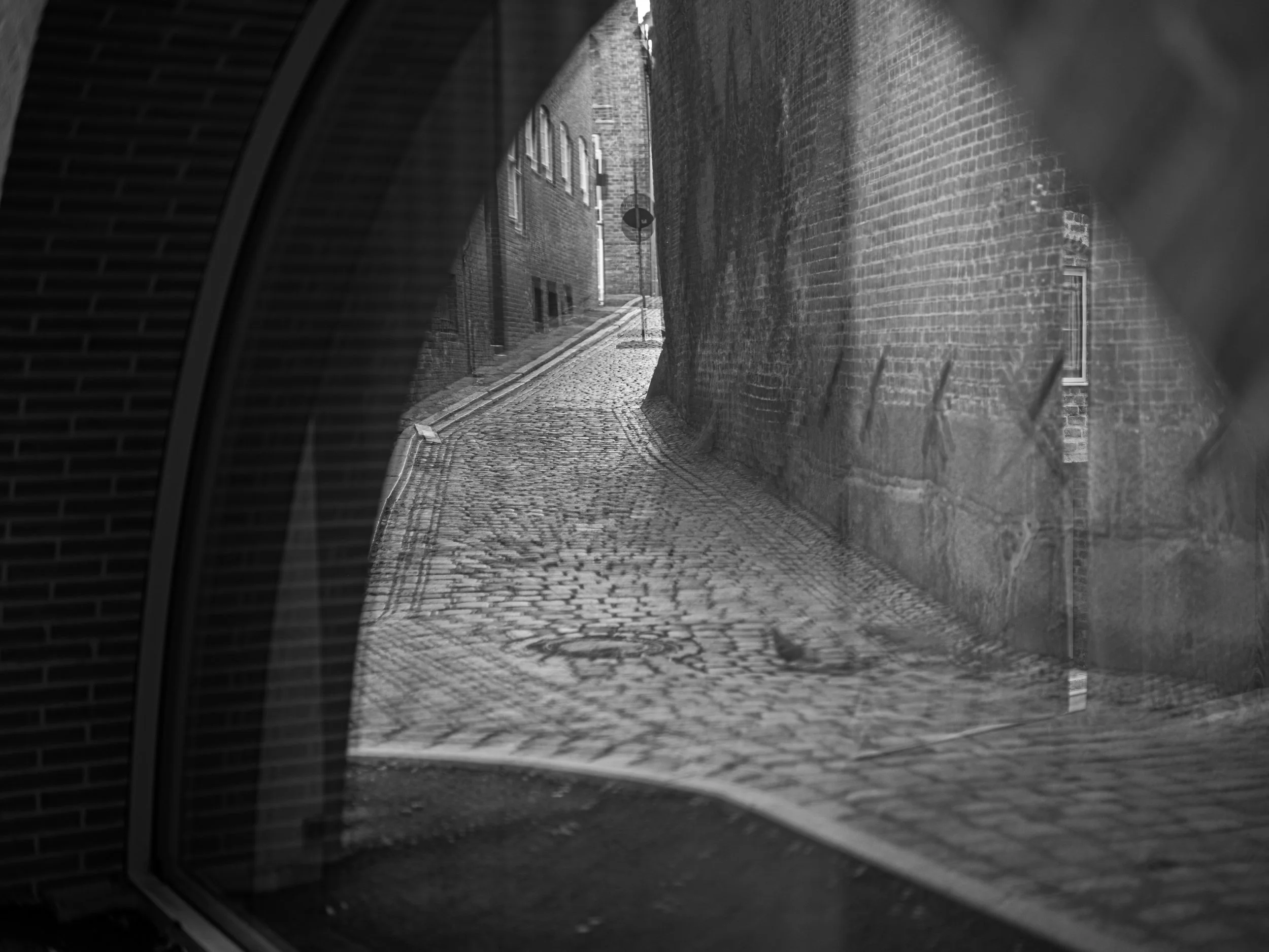 L1000215.jpg