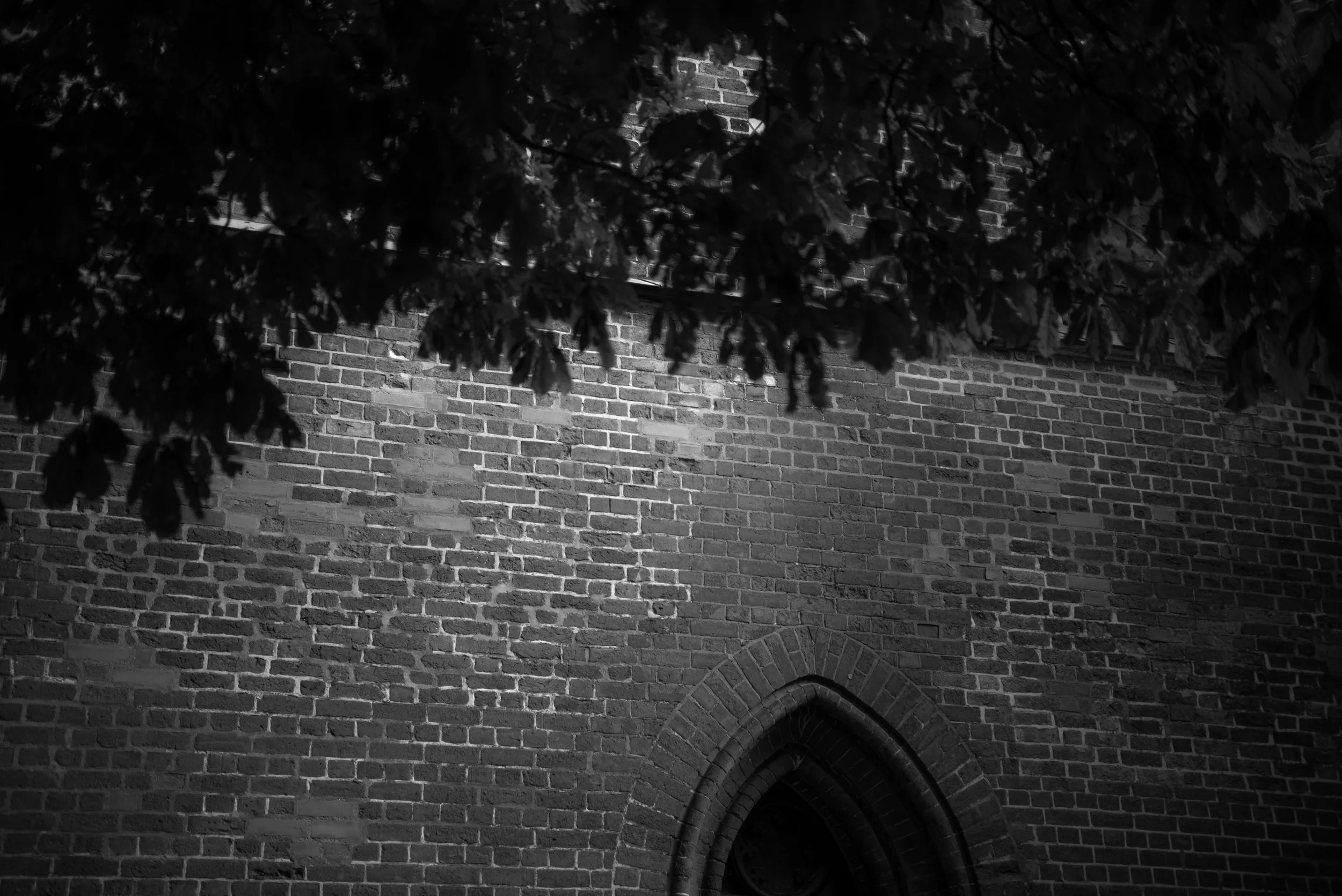 L1000681.jpg