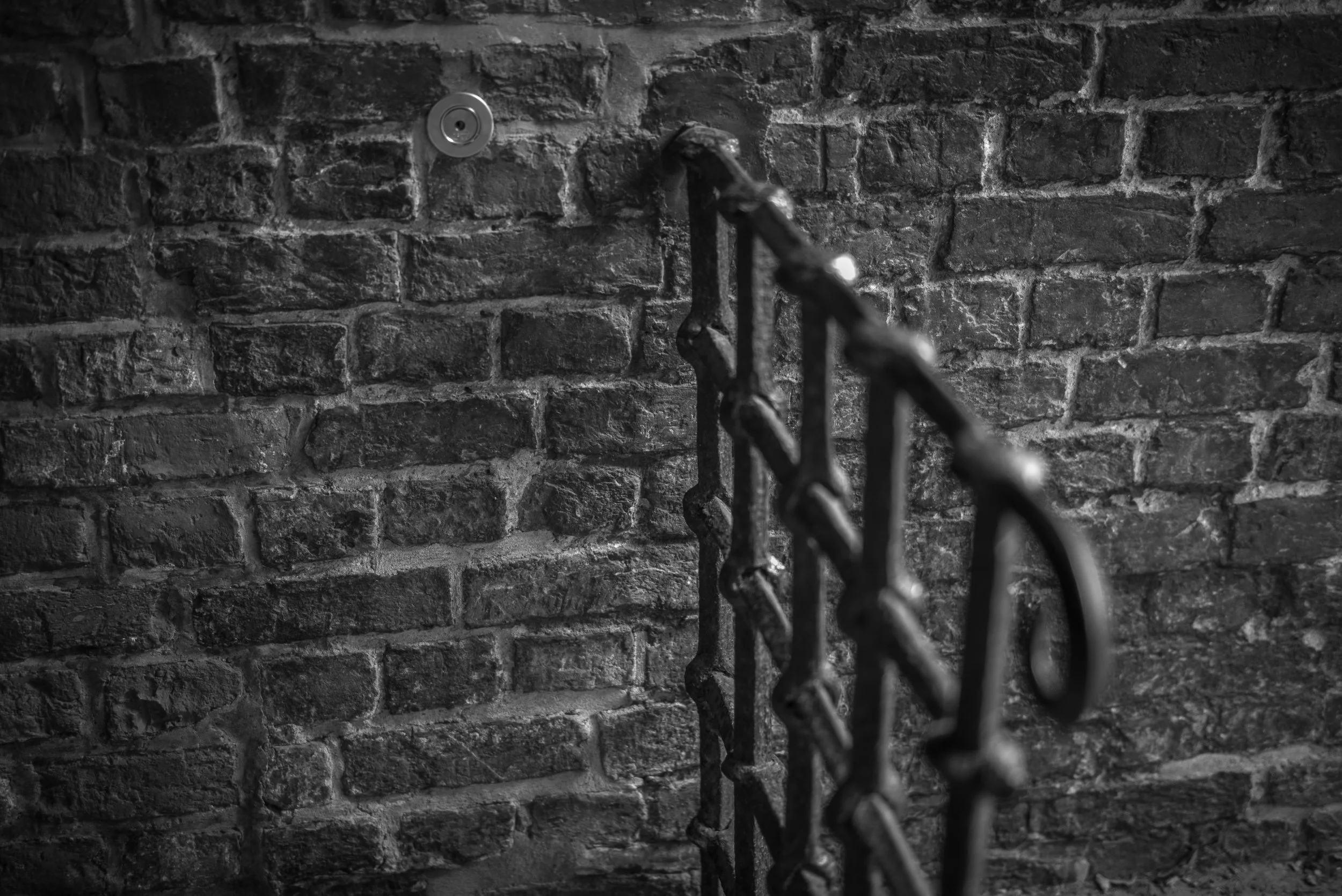 L1000686.jpg