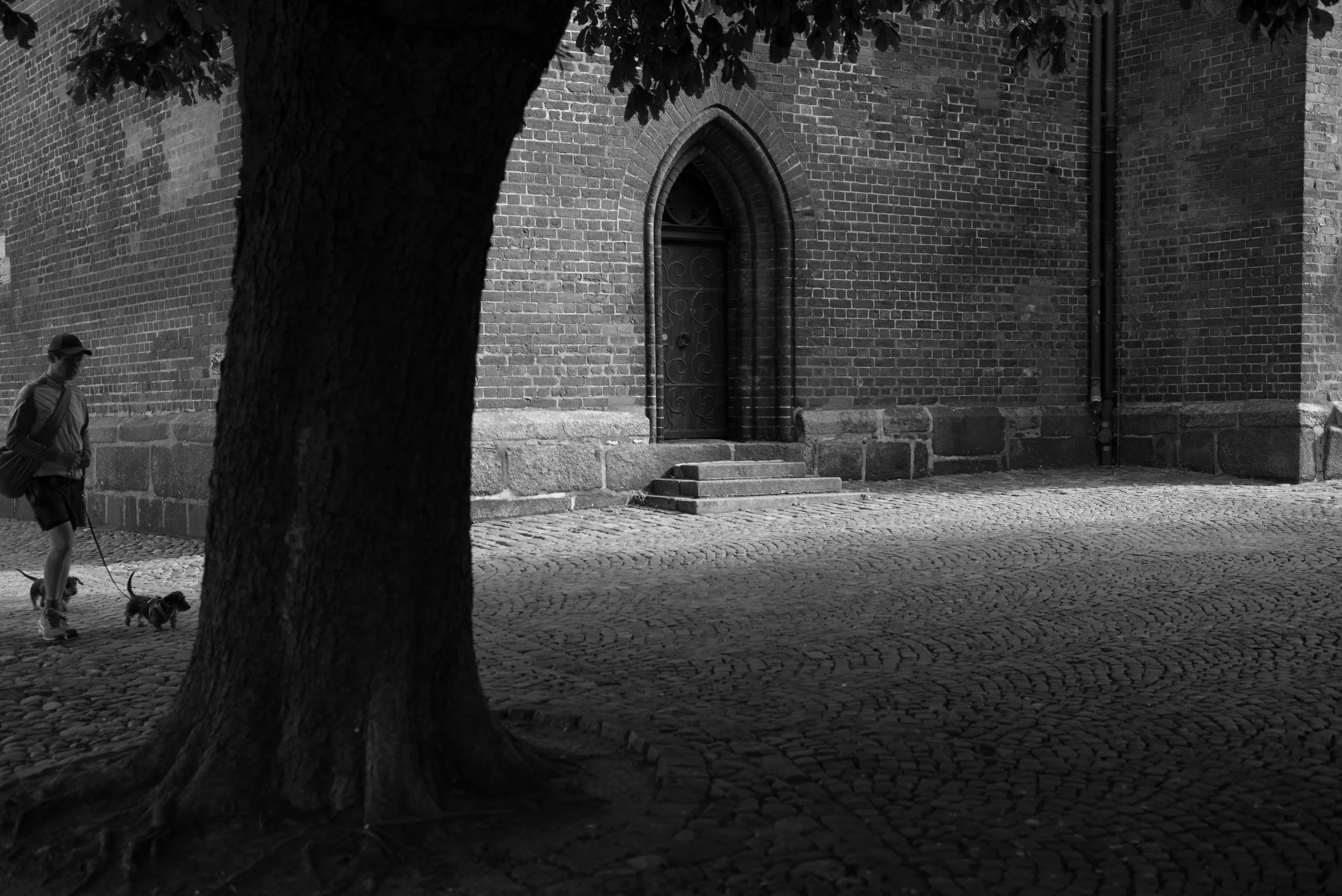 L1000675.jpg