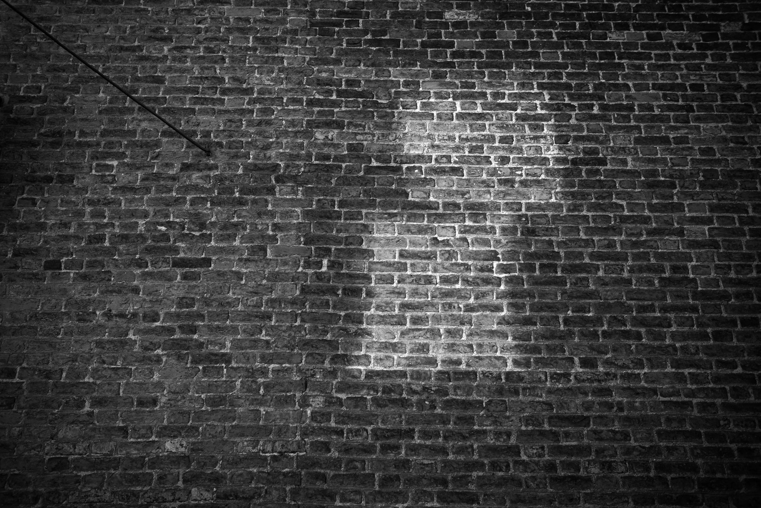 L1000634.jpg