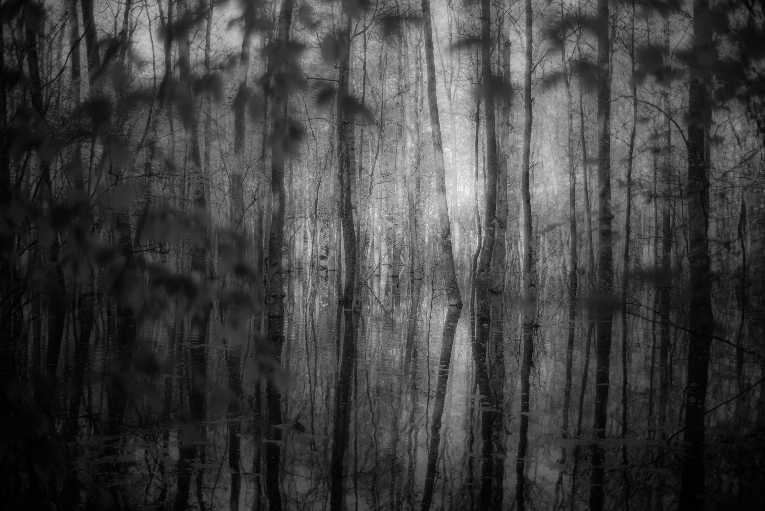 L1004077.jpg