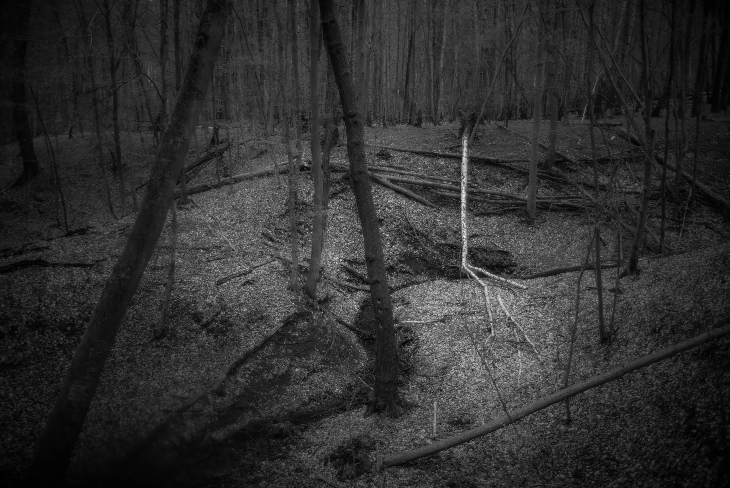 L1004004.jpg