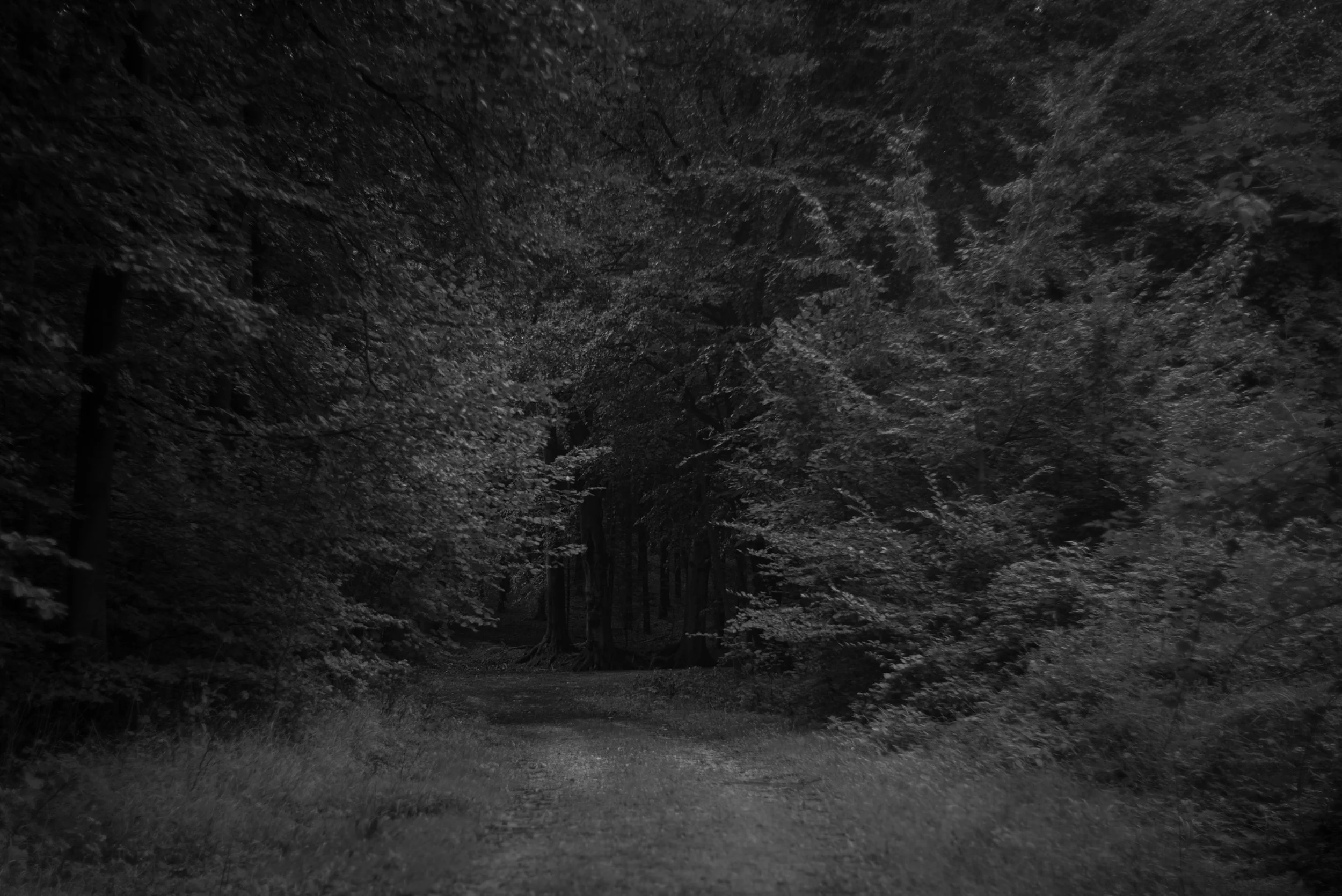 L1004589.jpg