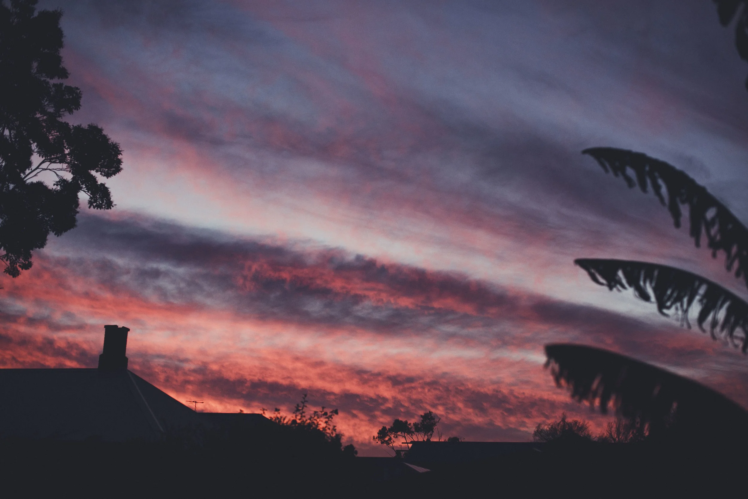 Fairy floss skies