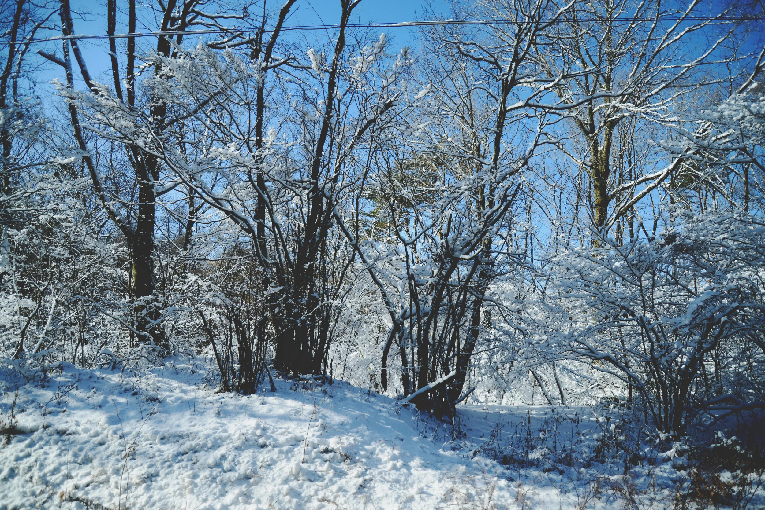 DSC_2211.jpg