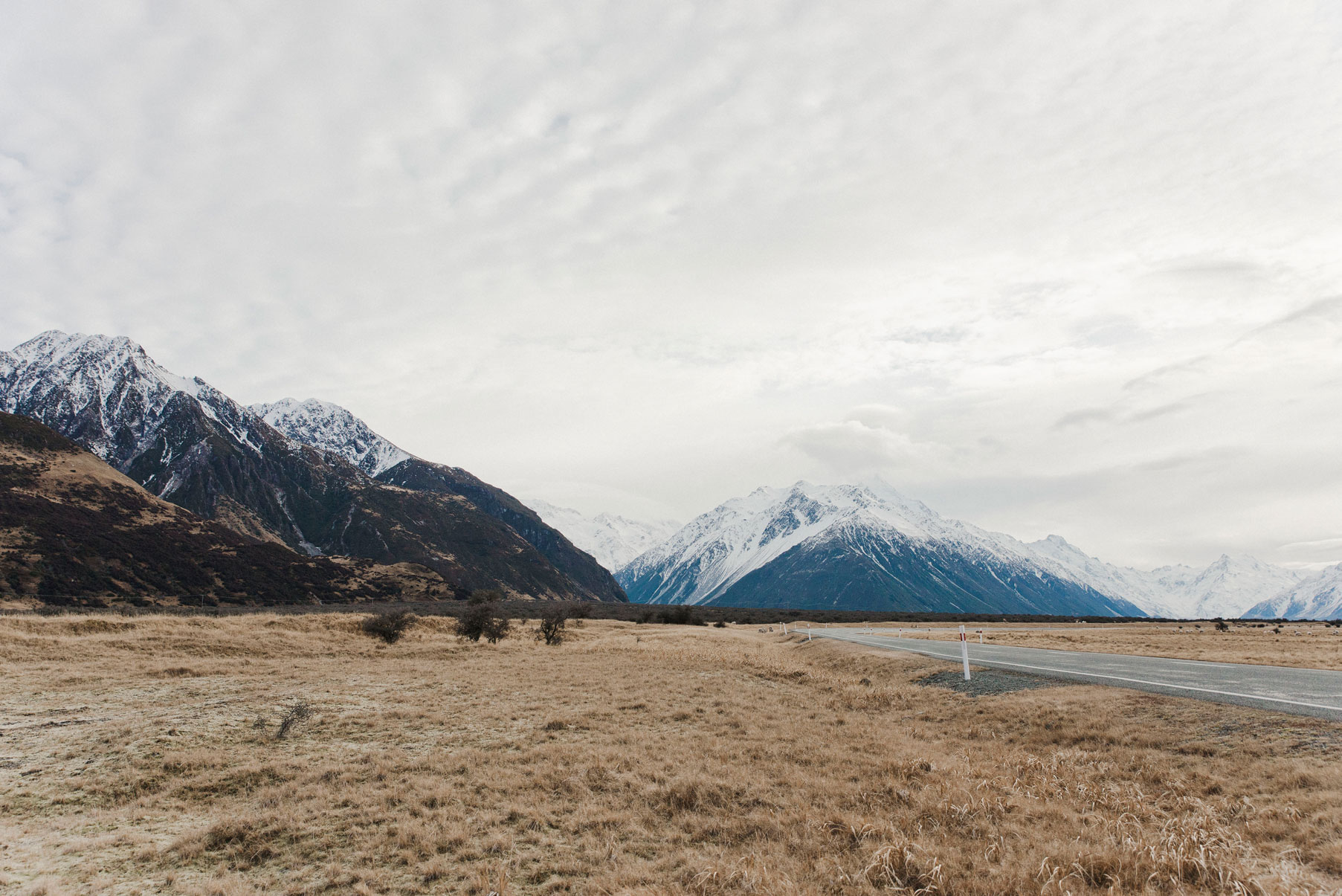 DSC_4093-MT-COOK-WEB.jpg