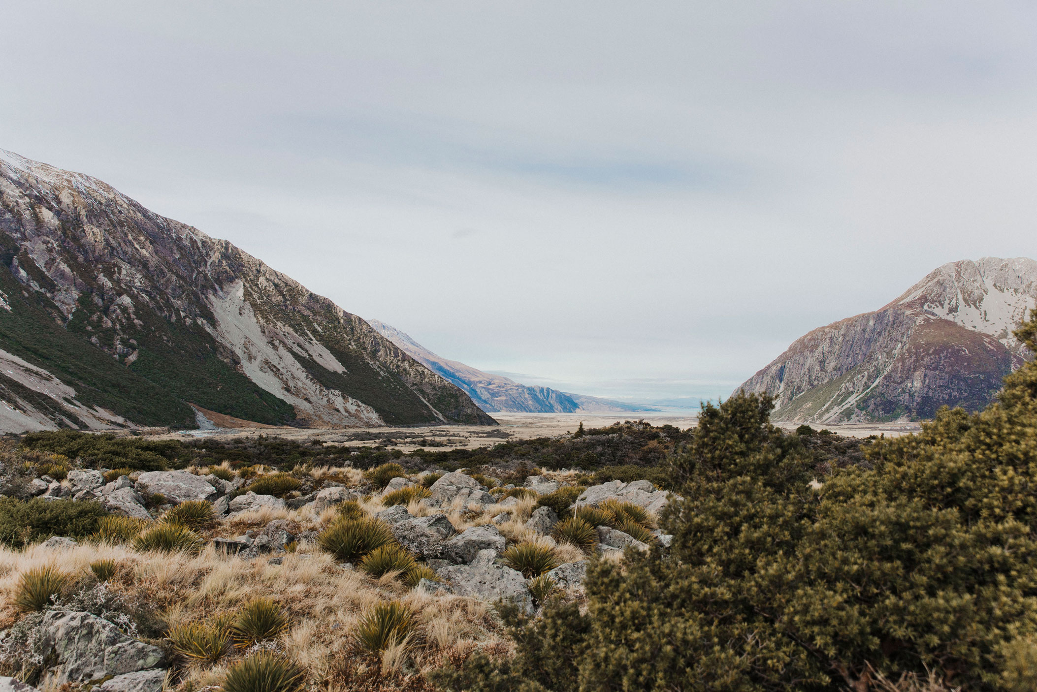 DSC_4123-MT-COOK-WEB.jpg