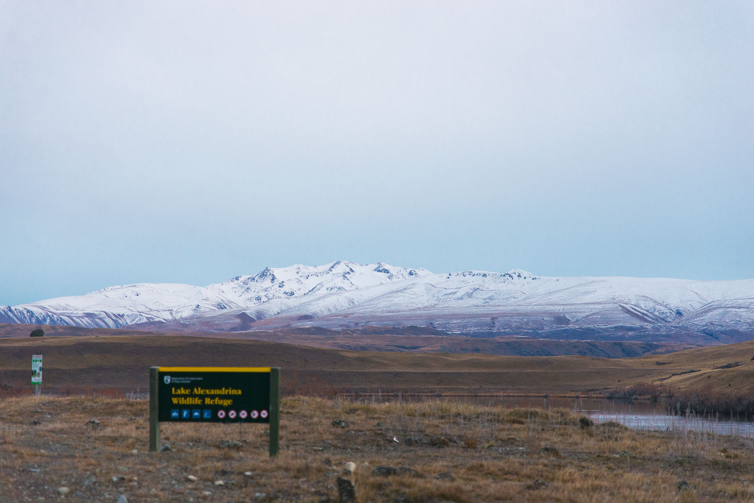 DSC_3951-lake-alexandrina-NZ-web.jpg