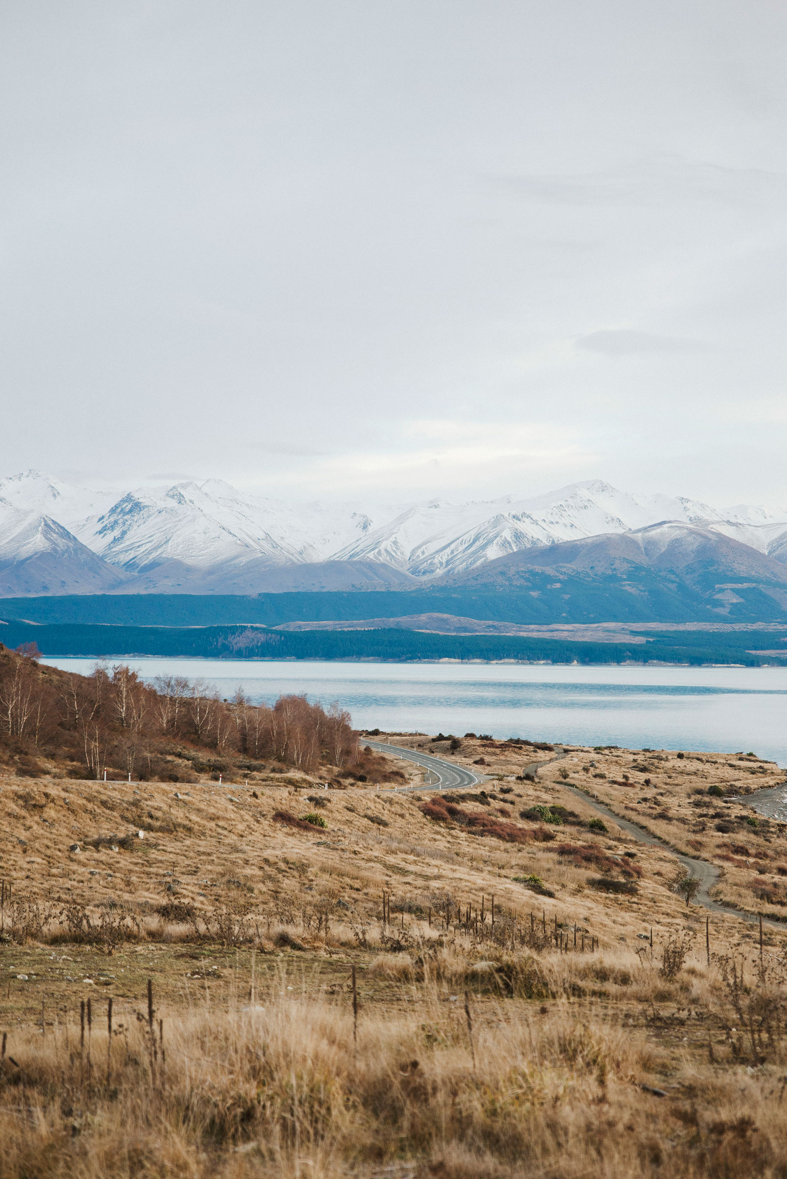 DSC_3980-MT-COOK-WEB.jpg