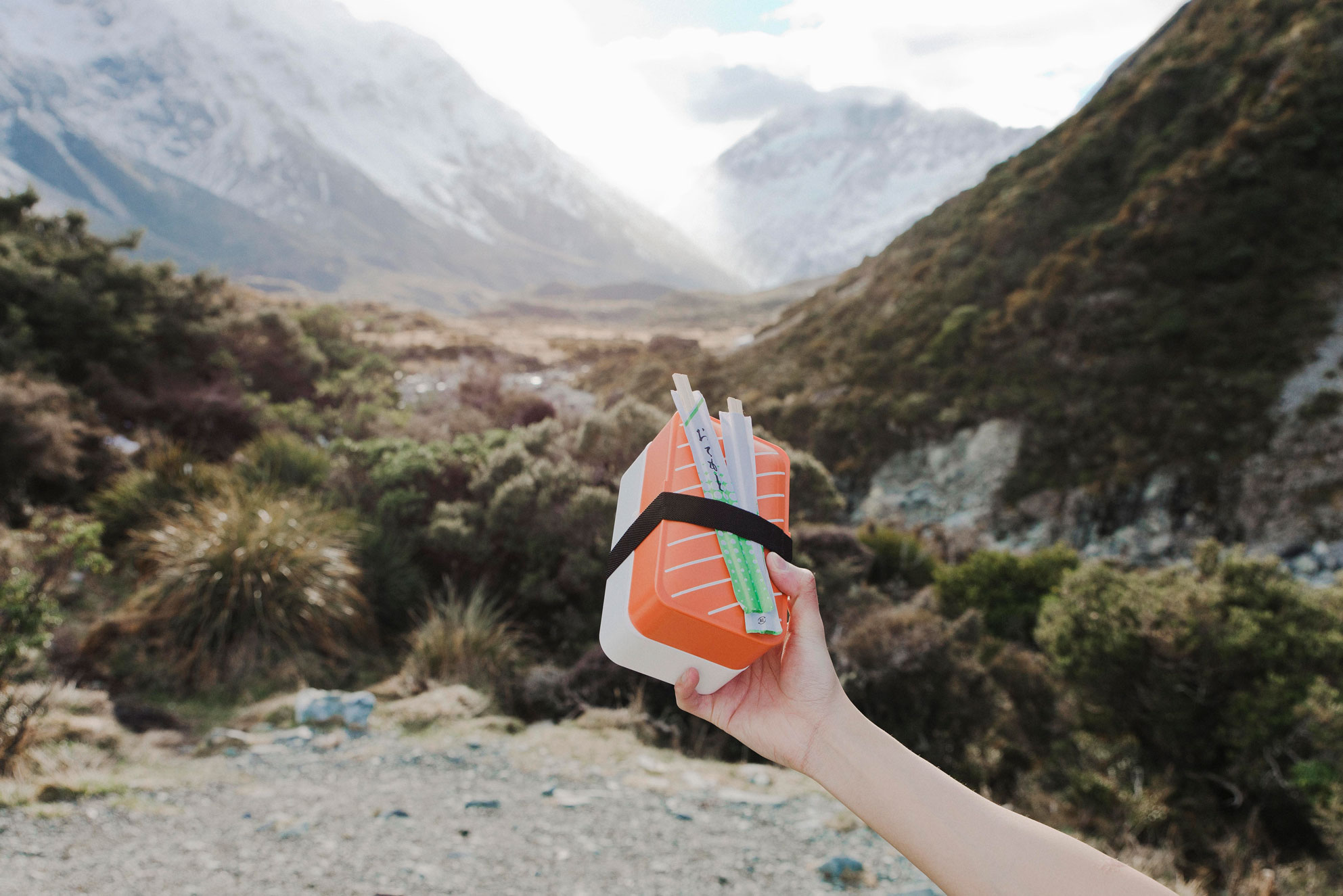 DSC_4184-MT-COOK-WEB.jpg