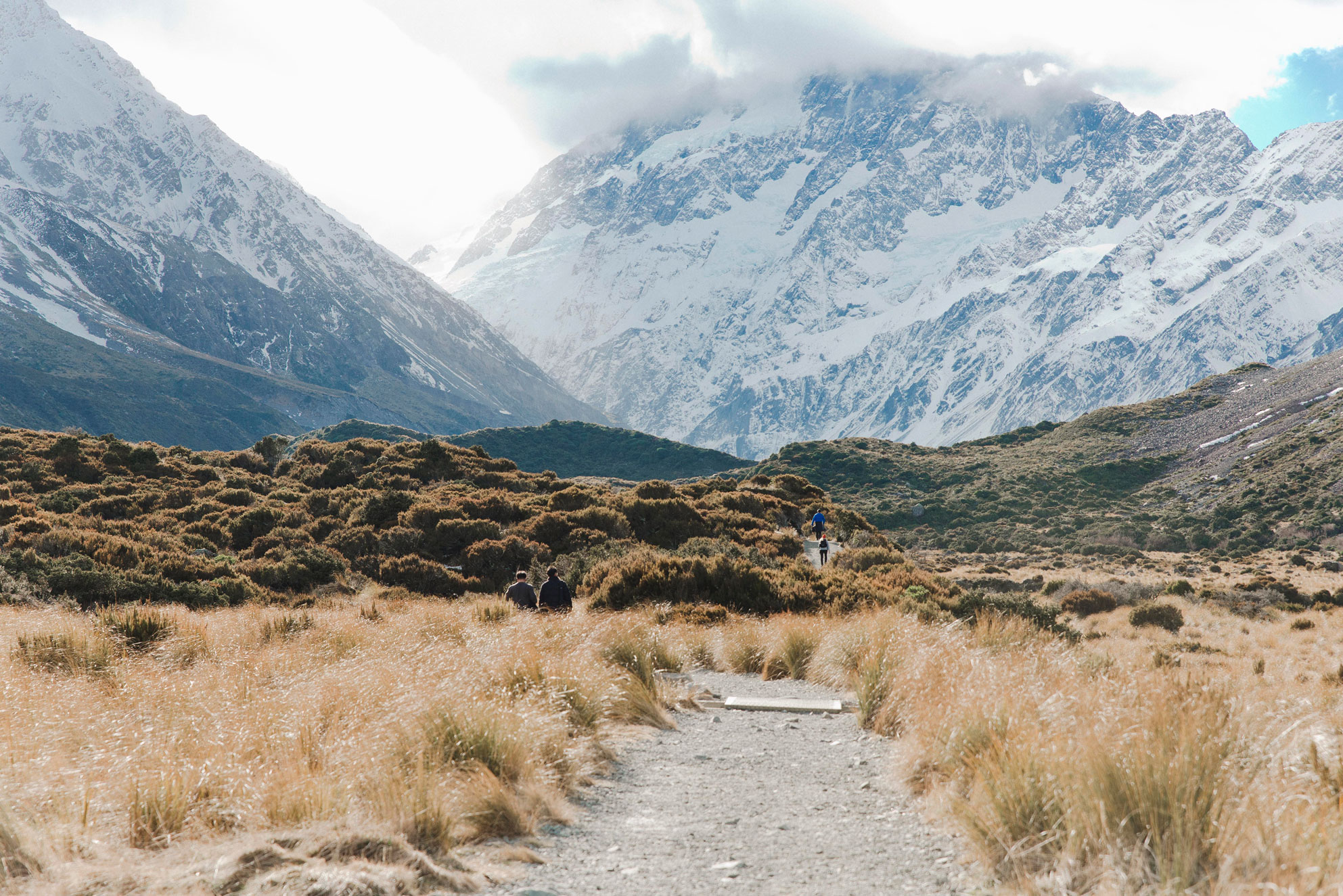 DSC_4187-MT-COOK-WEB.jpg