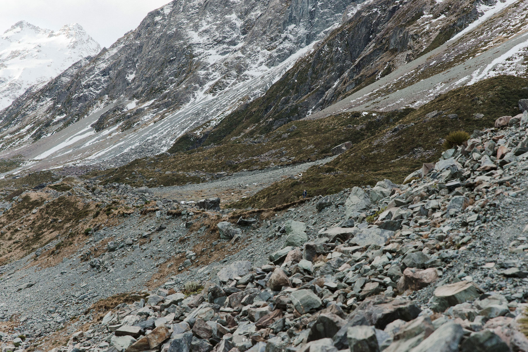 DSC_4307-MT-COOK-WEB.jpg