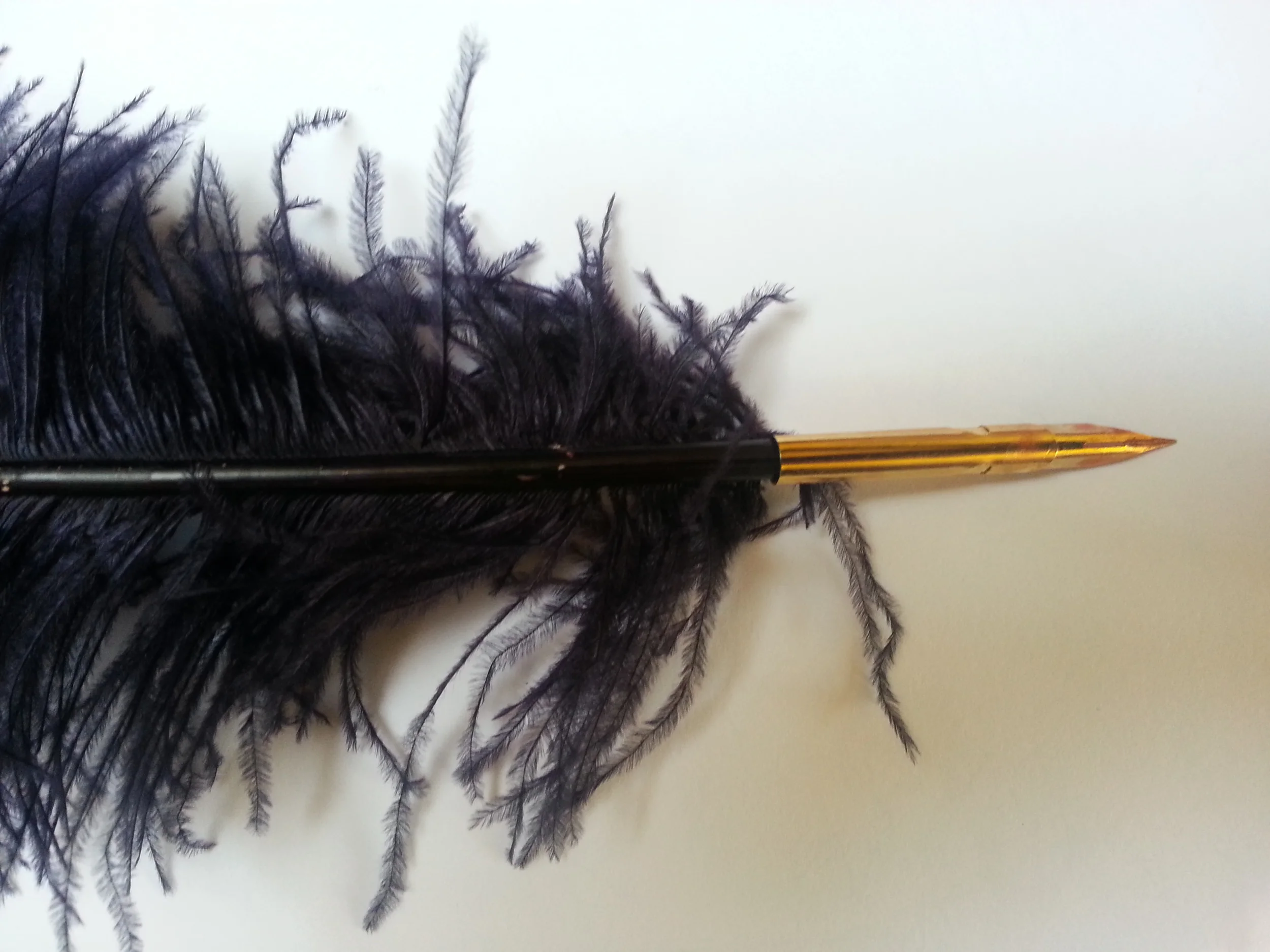 Quill Pen.jpg