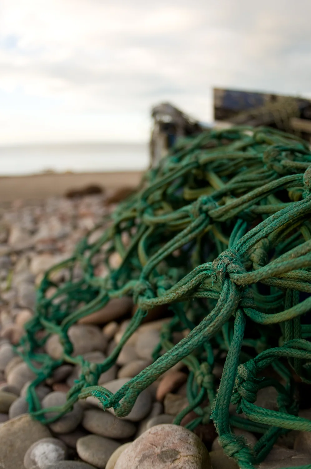 pennan 2.jpg