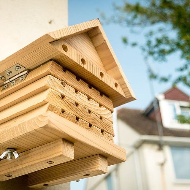 Finally put up a bee hotel last week and sure enough...if you build it they will come. Sacked off home schooling this afternoon and sat in the garden watching (and filming) them come and go. Kids were excited....for about 2 mins. Anyway, a nice addit