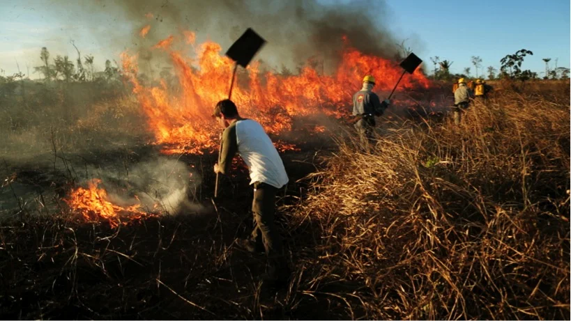 AmazonAliancefire2.jpg