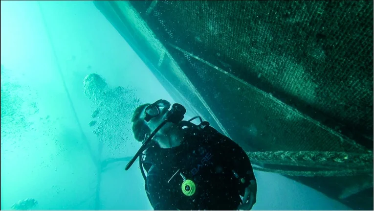 aquapodsdiving.jpg
