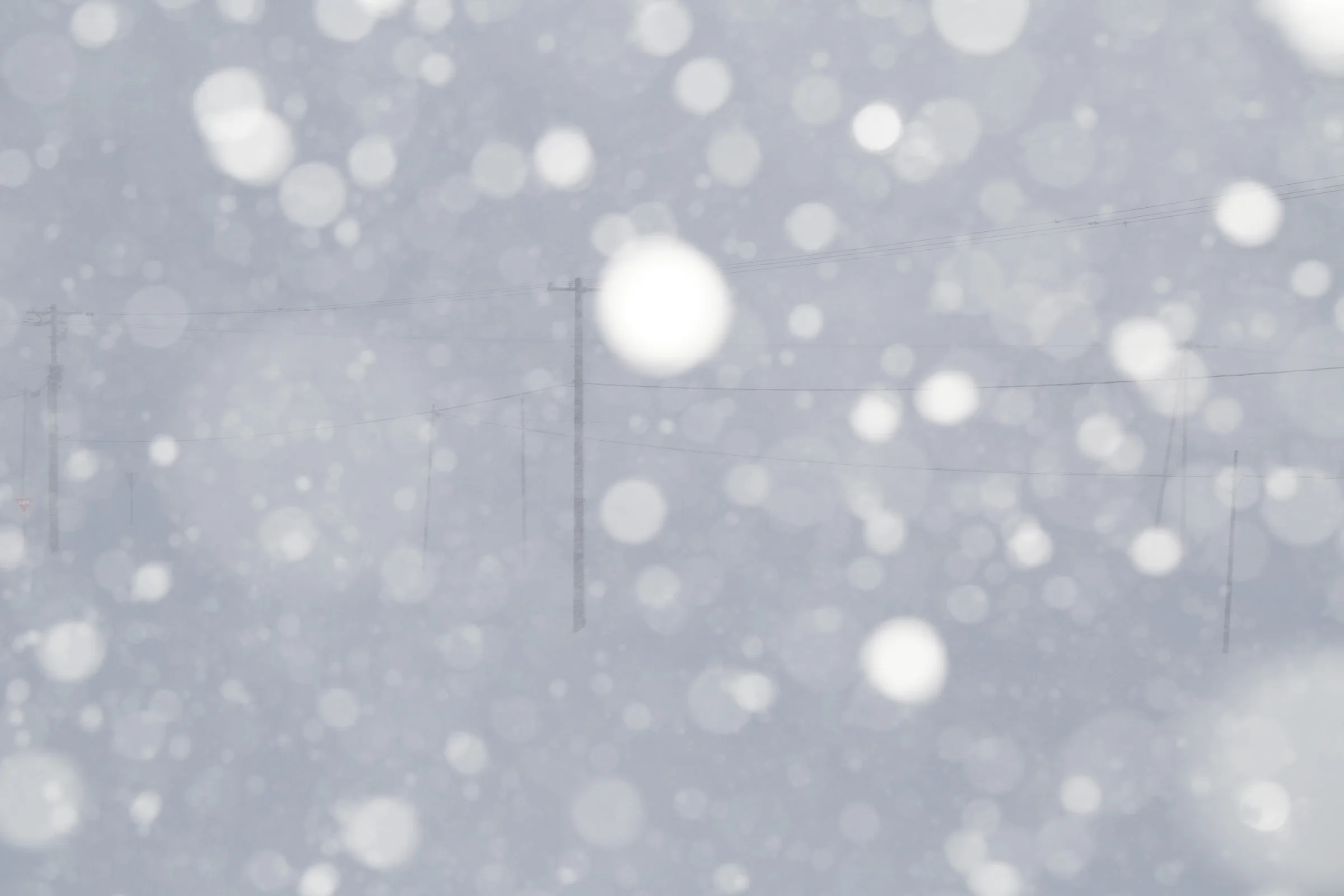 Ran Kokubun, Meanings left behind #14, 2014