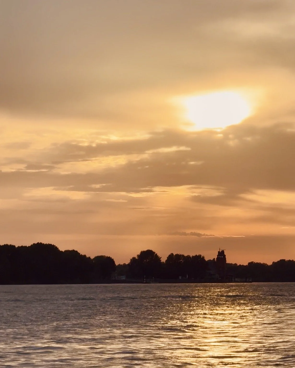Hamburg, Elbe, Elbwald retten, Sonnenuntergang