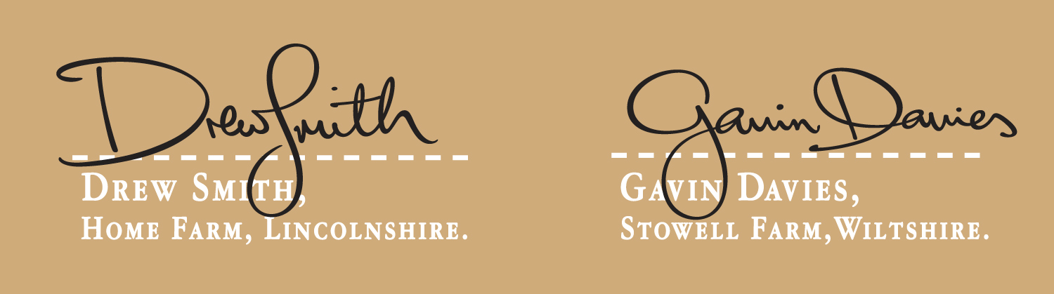 Signature refinement: I do a lot of these; the task being to make them more legible and to add a layer of elegance without losing too much authenticity 