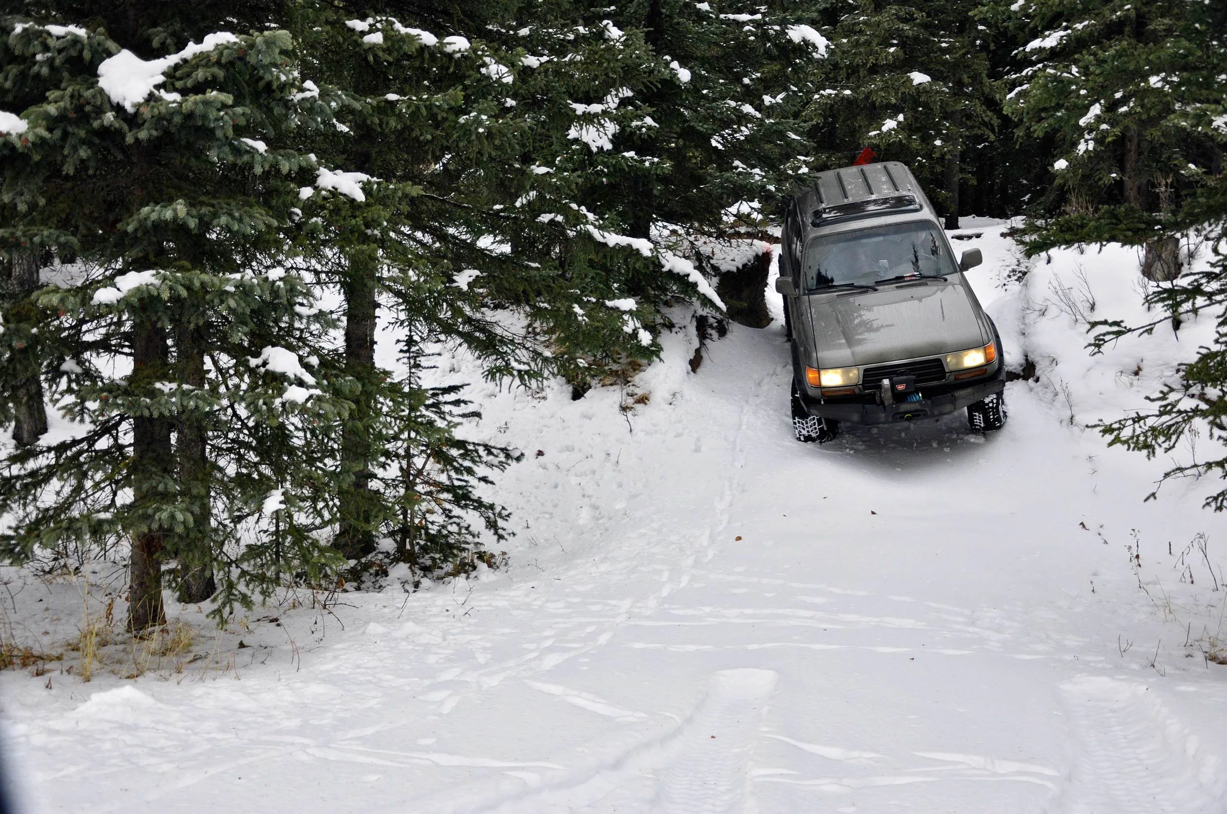DSC_0728-(1).jpg