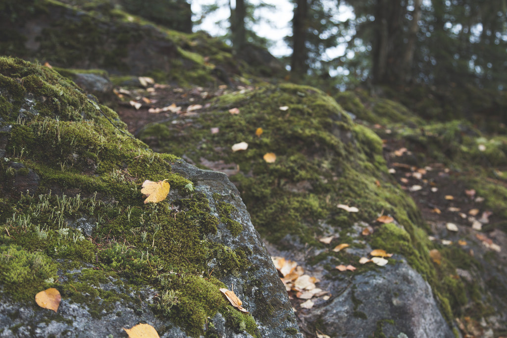 by Tamarack Media Co. , on Flickr