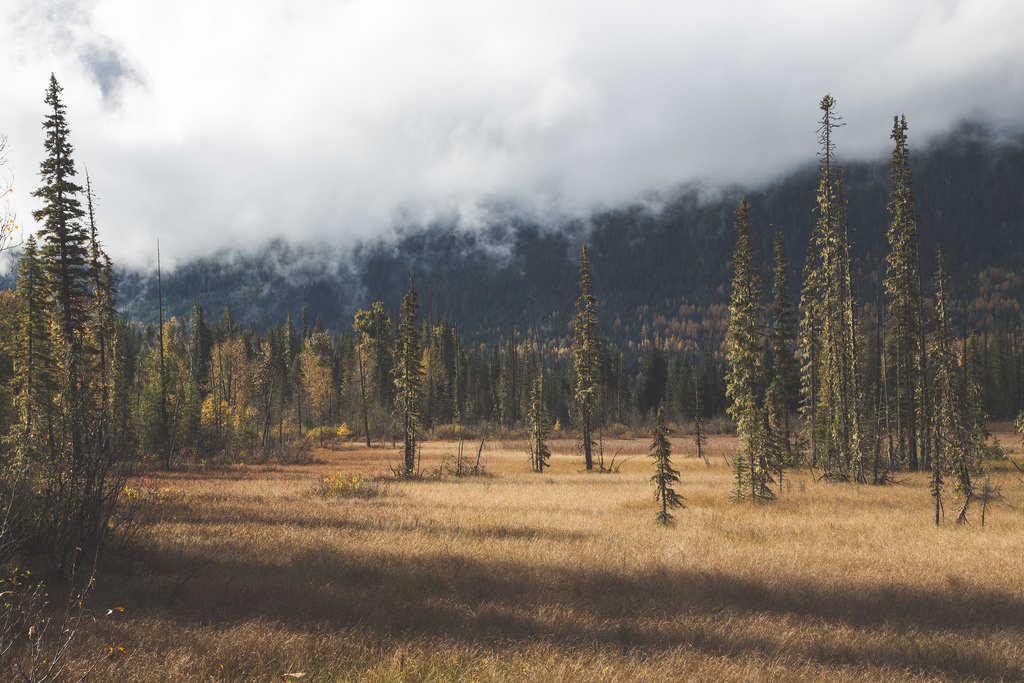 by Tamarack Media Co. , on Flickr