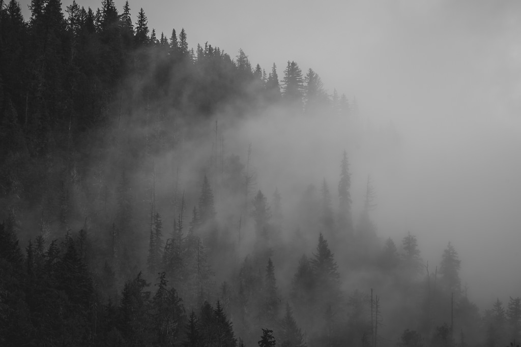 by Tamarack Media Co. , on Flickr