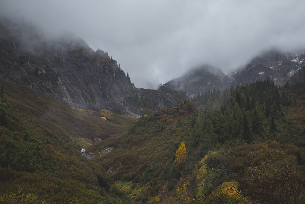 by Tamarack Media Co. , on Flickr