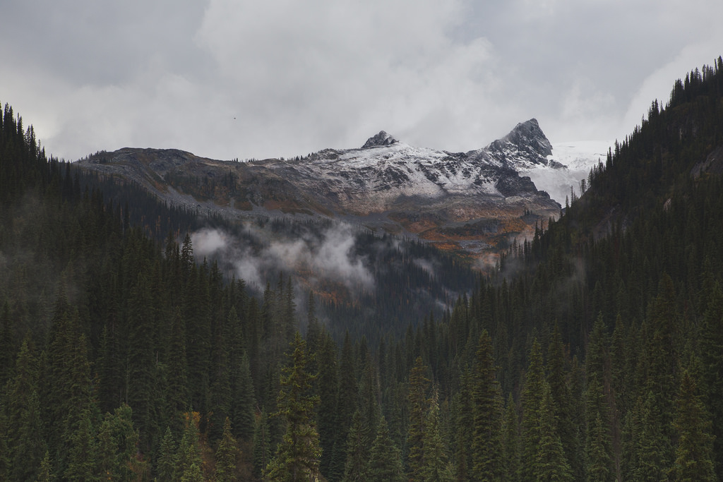 by Tamarack Media Co. , on Flickr
