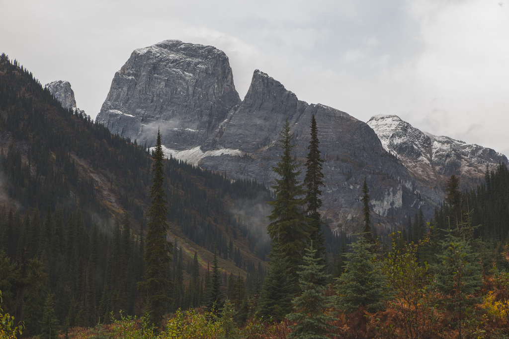 by Tamarack Media Co. , on Flickr