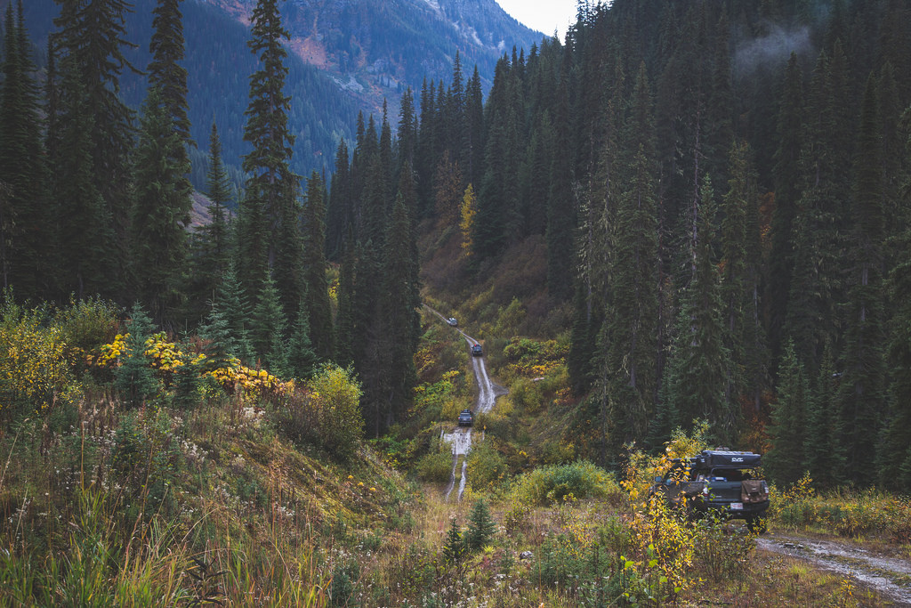by Tamarack Media Co. , on Flickr