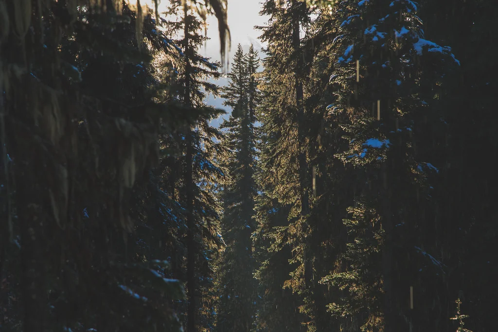 by Tamarack Media Co. , on Flickr