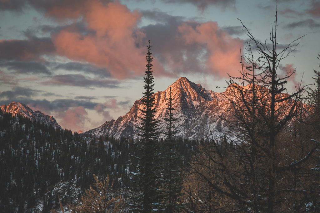 by Tamarack Media Co. , on Flickr