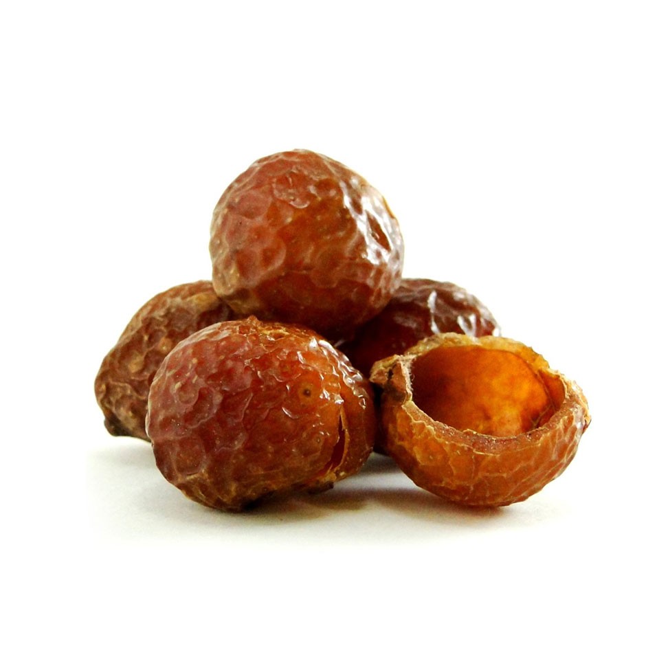 The soap nuts