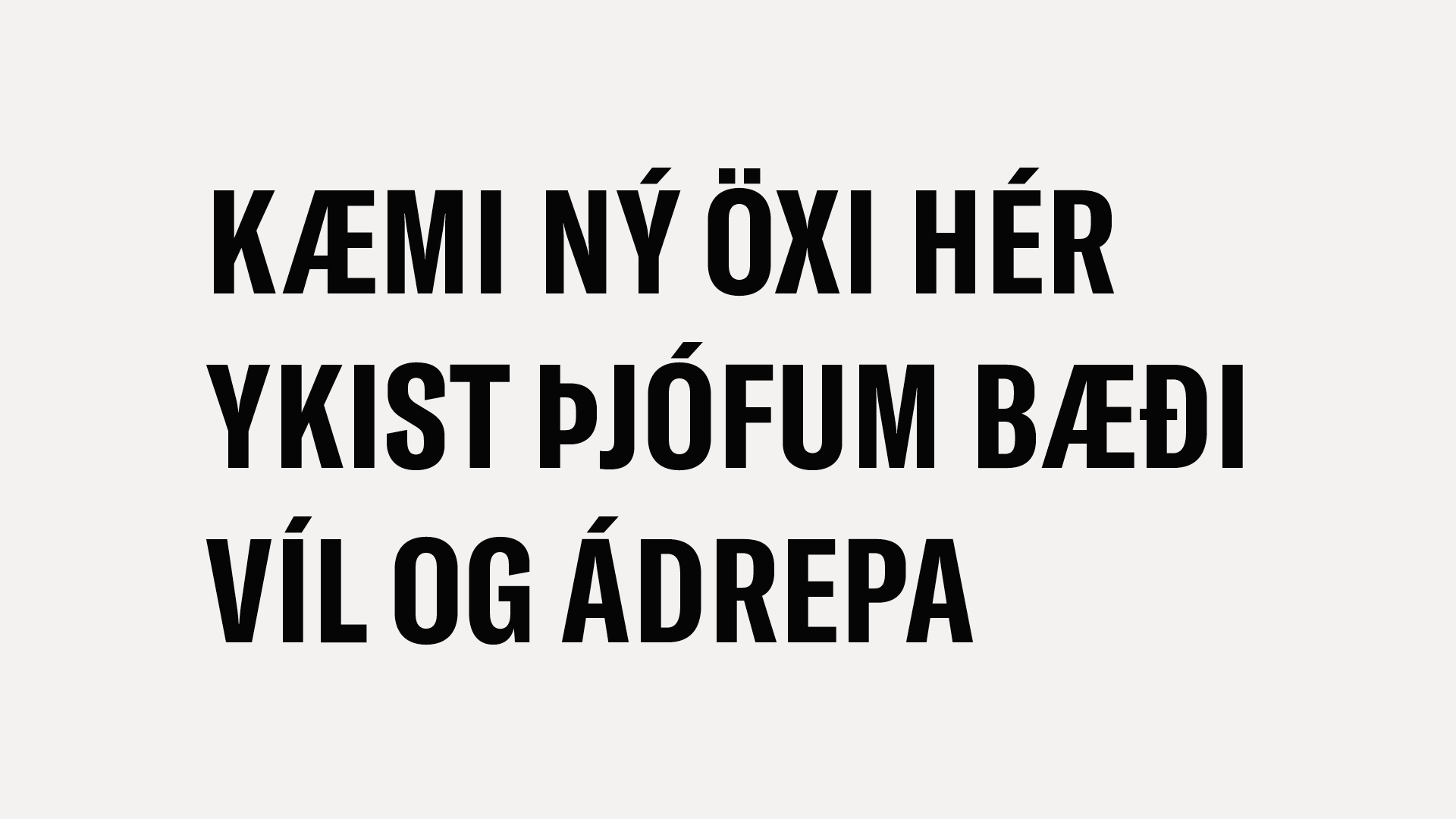 Hlemmur_netid_myndir7.png