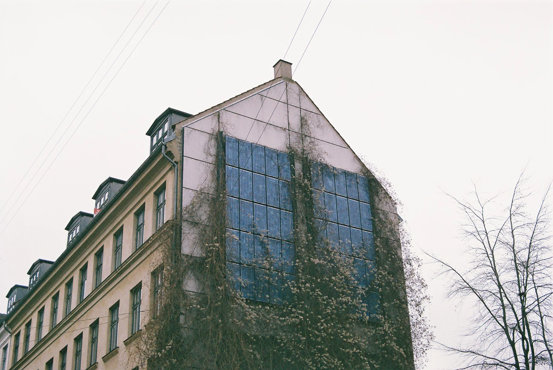 F1000024.JPG