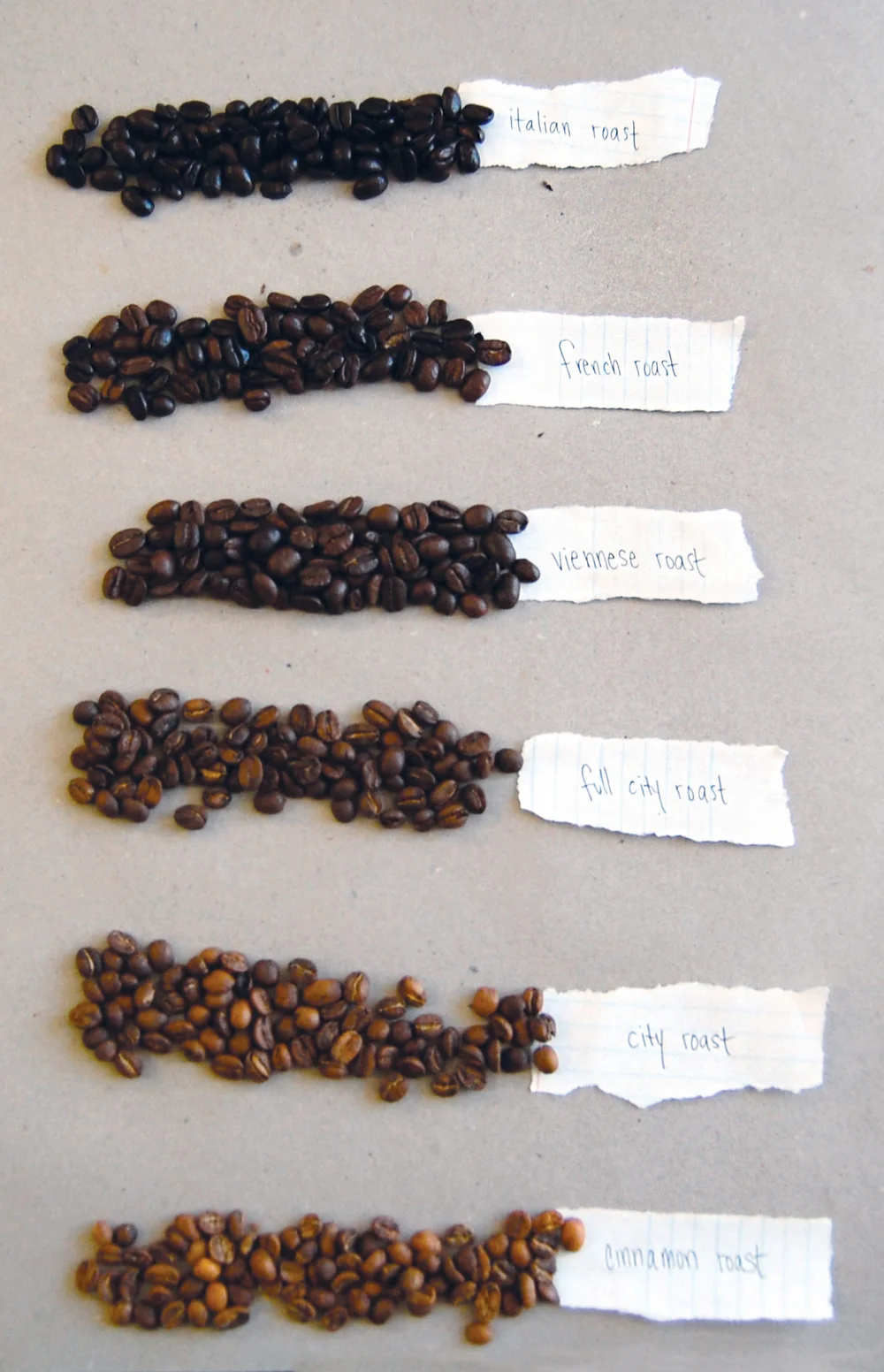 Dark Roast Coffee 1000 Faces Coffee