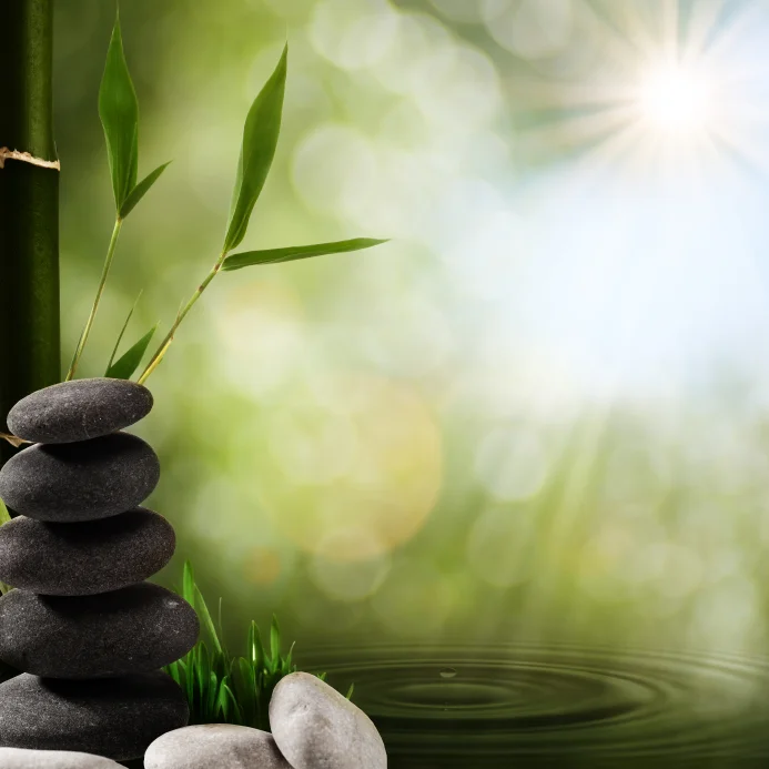 iStock_000021280623Small.jpg