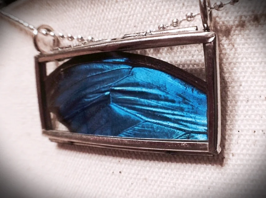 Real blue Morpho wing necklace