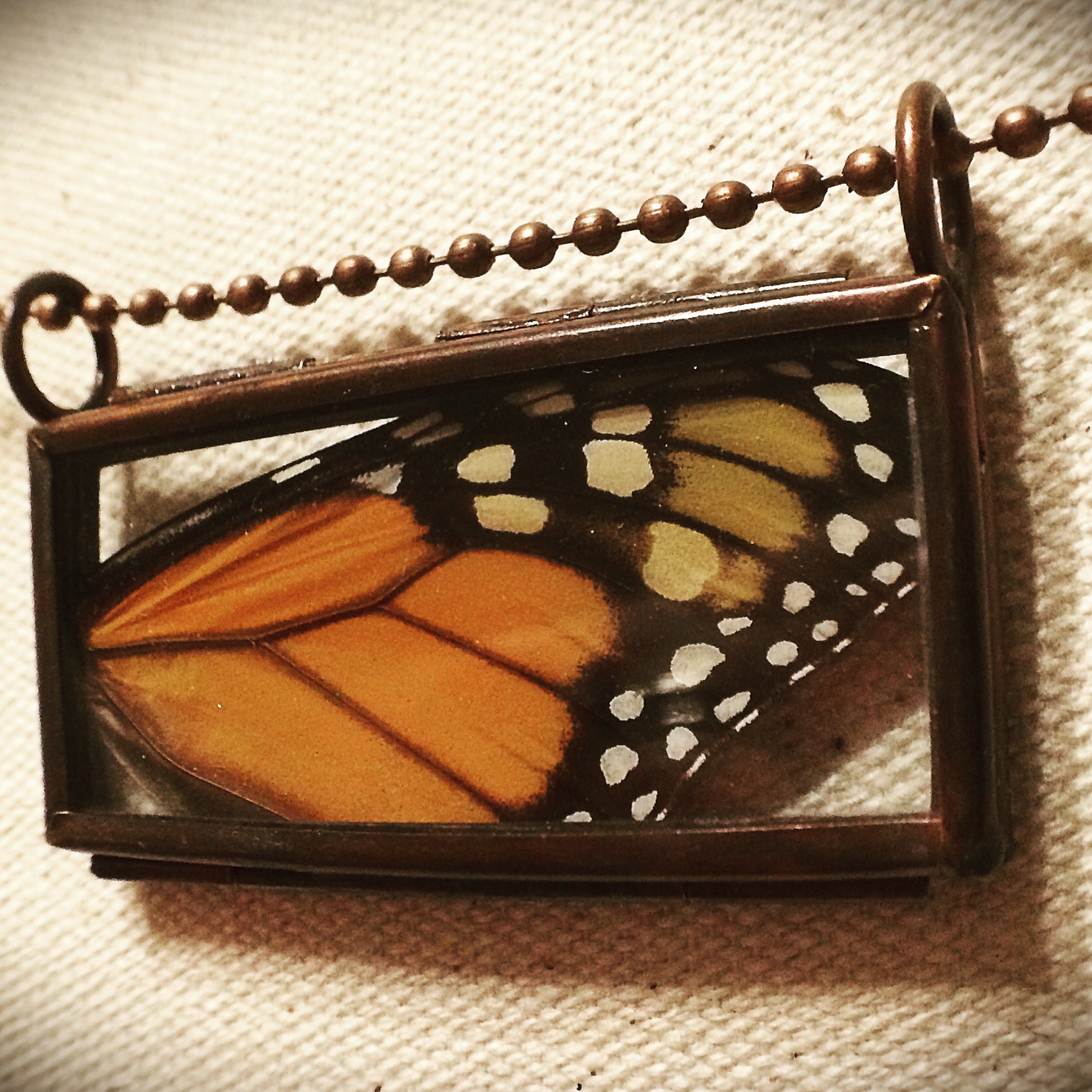 Real monarch butterfly wing necklace