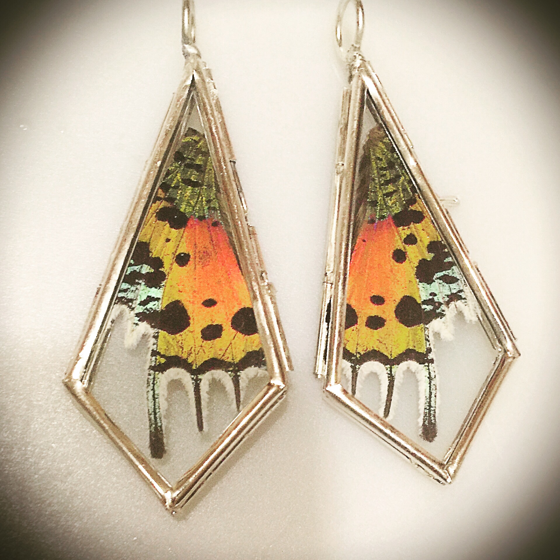 Sunset moth wing necklaces