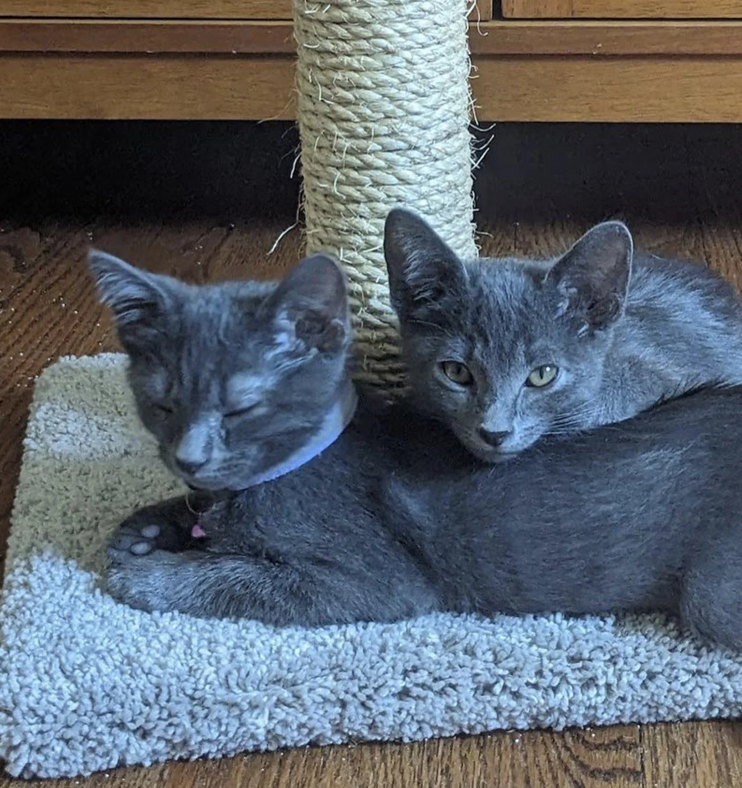 Screen Shot 2023-10-26 at 10.47.21 AM.jpg