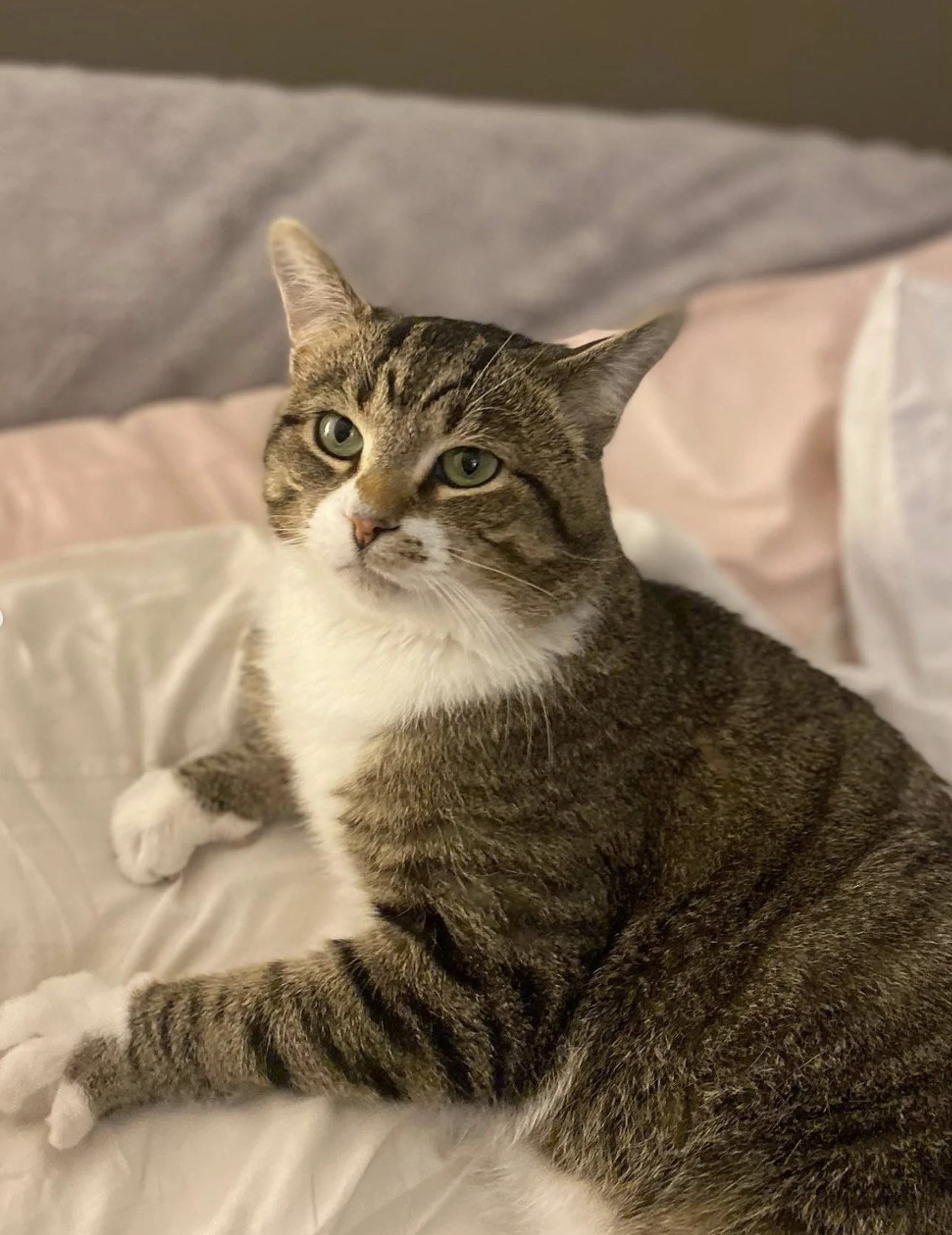 Screen Shot 2023-10-26 at 11.16.13 AM.jpg