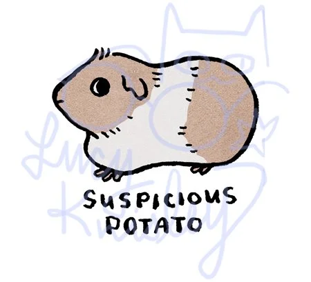 guinea pig.jpg